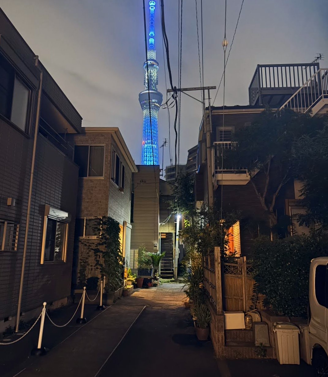 夜間私道 / Private path at night