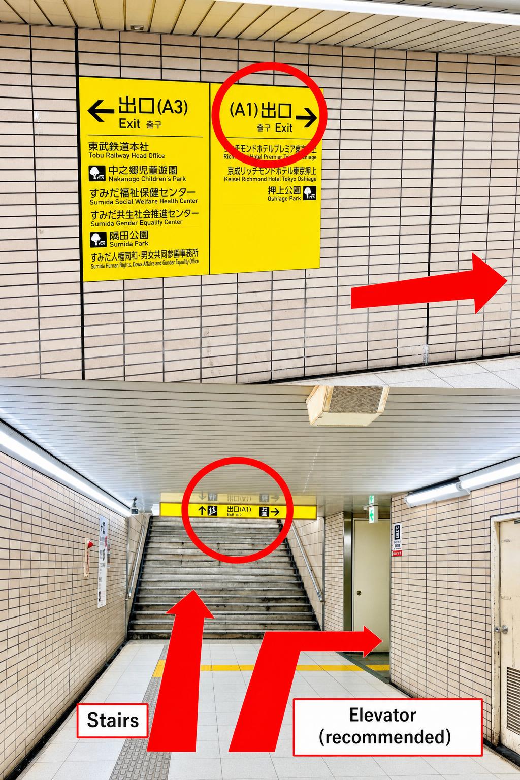step01
